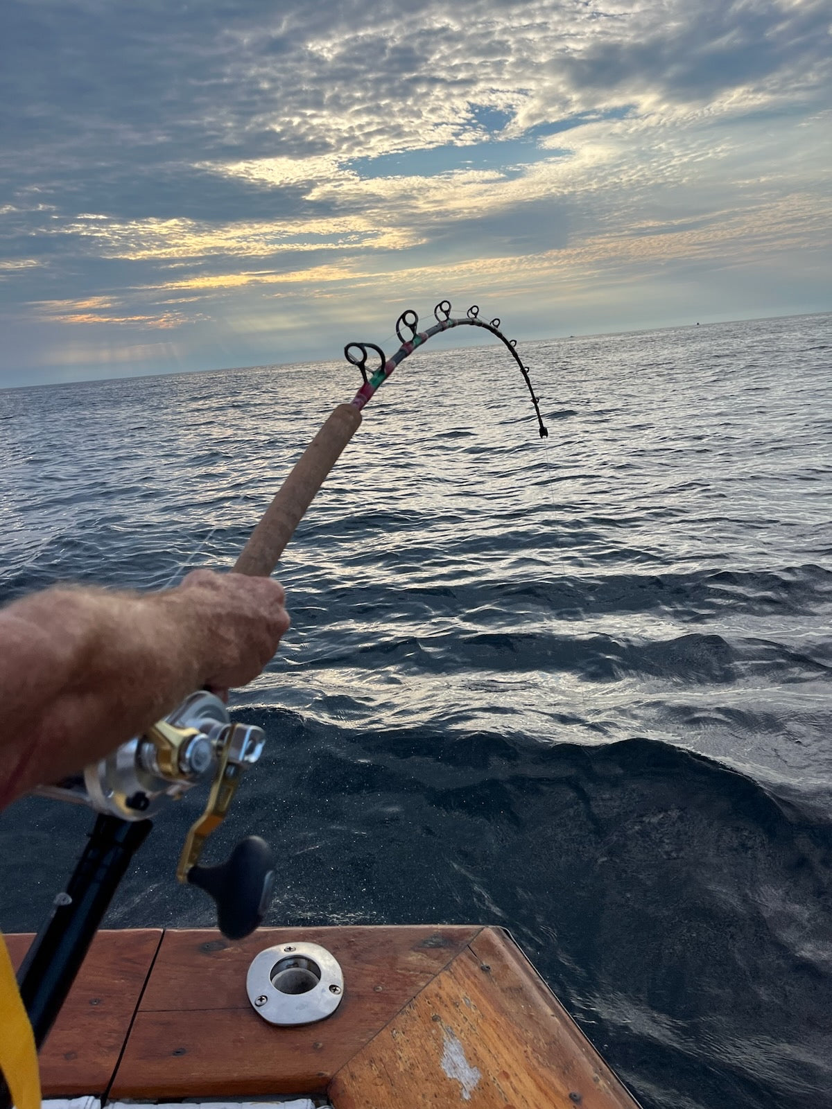 Spiral Saltwater Trolling Fishing Rods Offshore Chunk/Troll Series