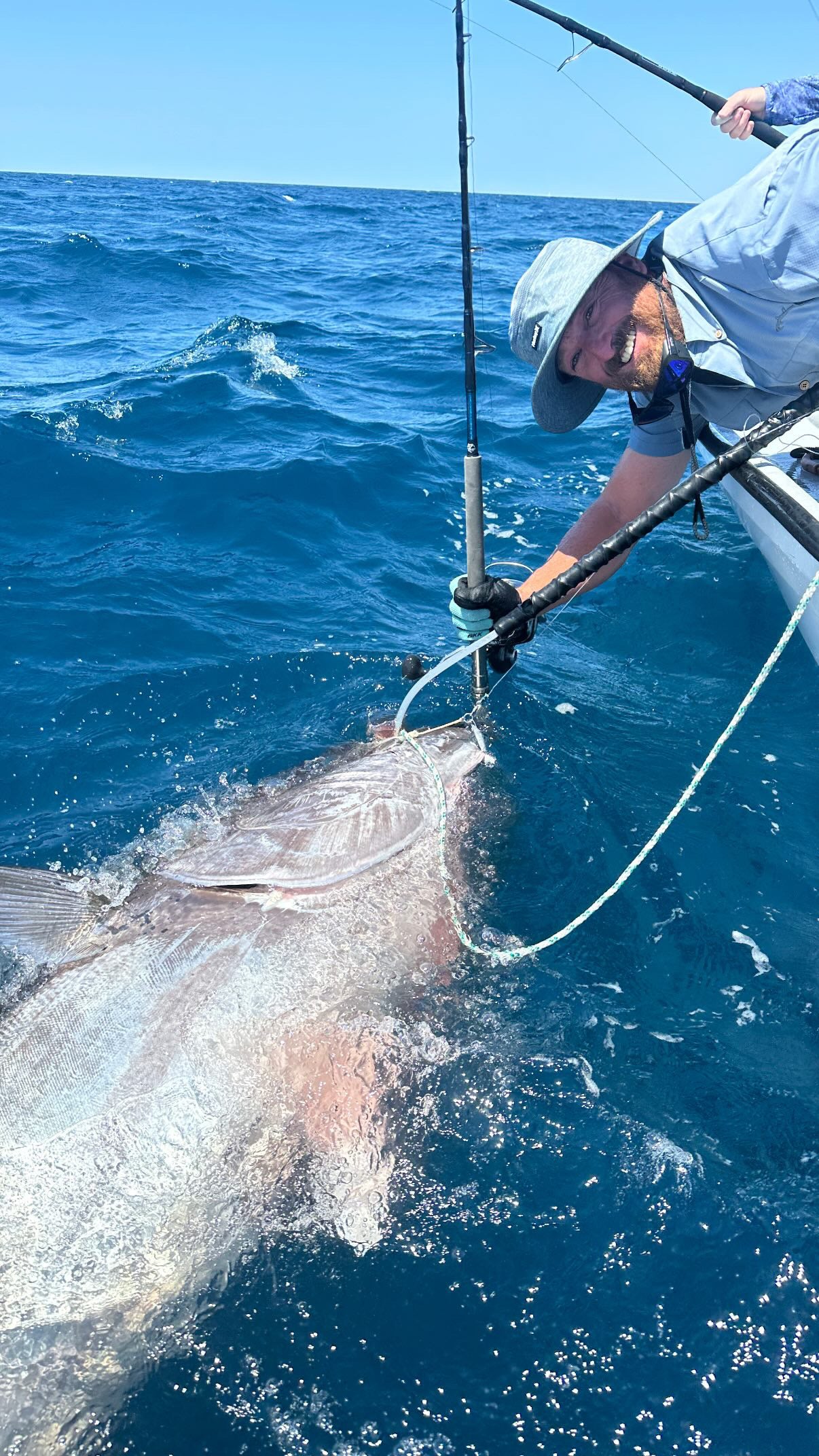 Vert Giant - Jigging