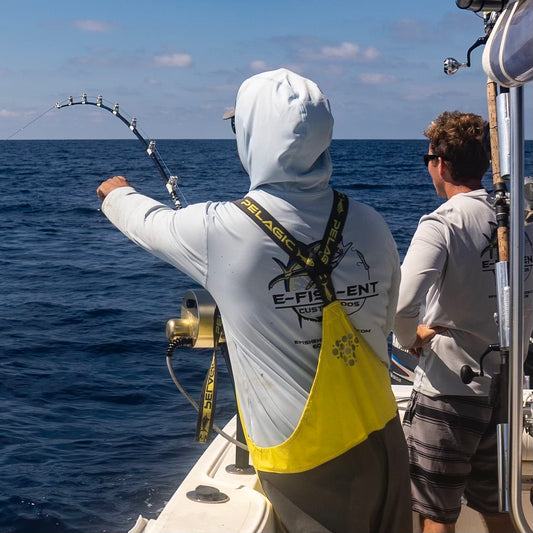 Swordfish/Deep Drop
