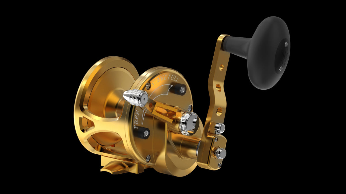 Avet JX Series lever drag reel — Gold