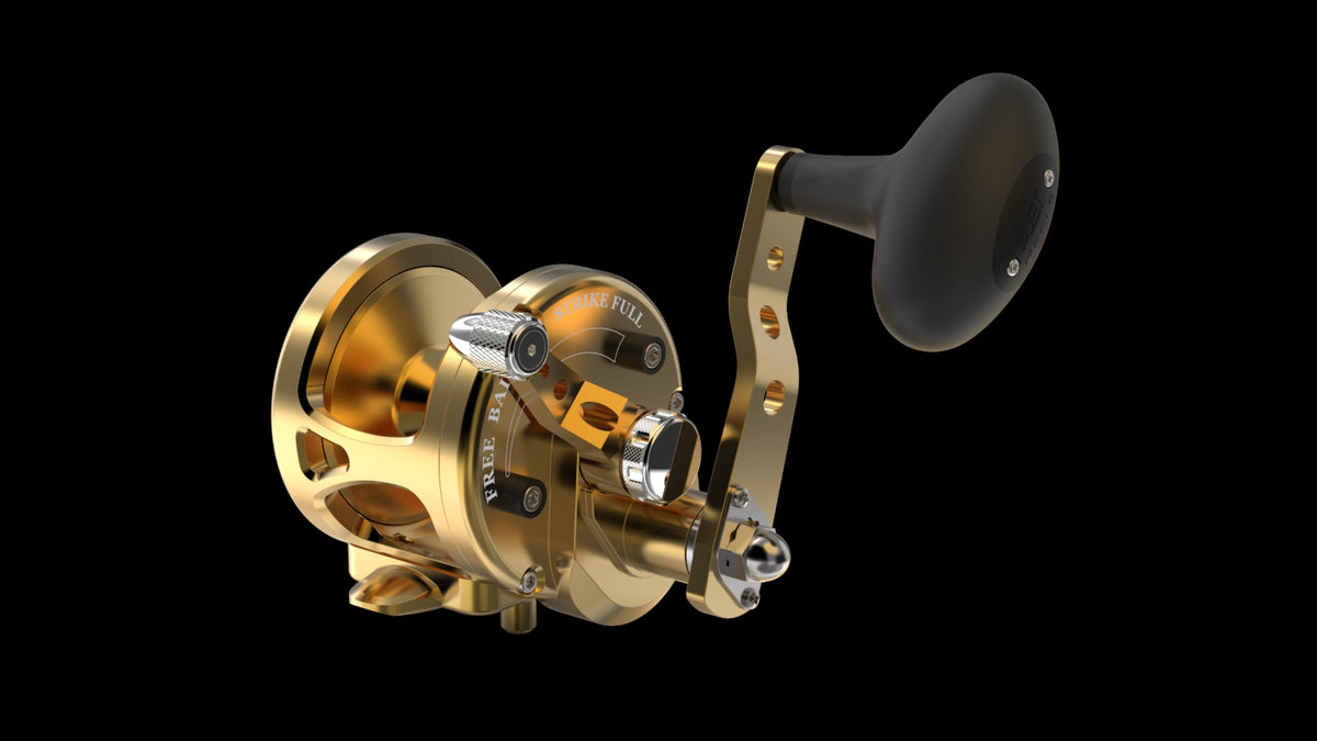 Avet MX Series lever drag reel — Gold