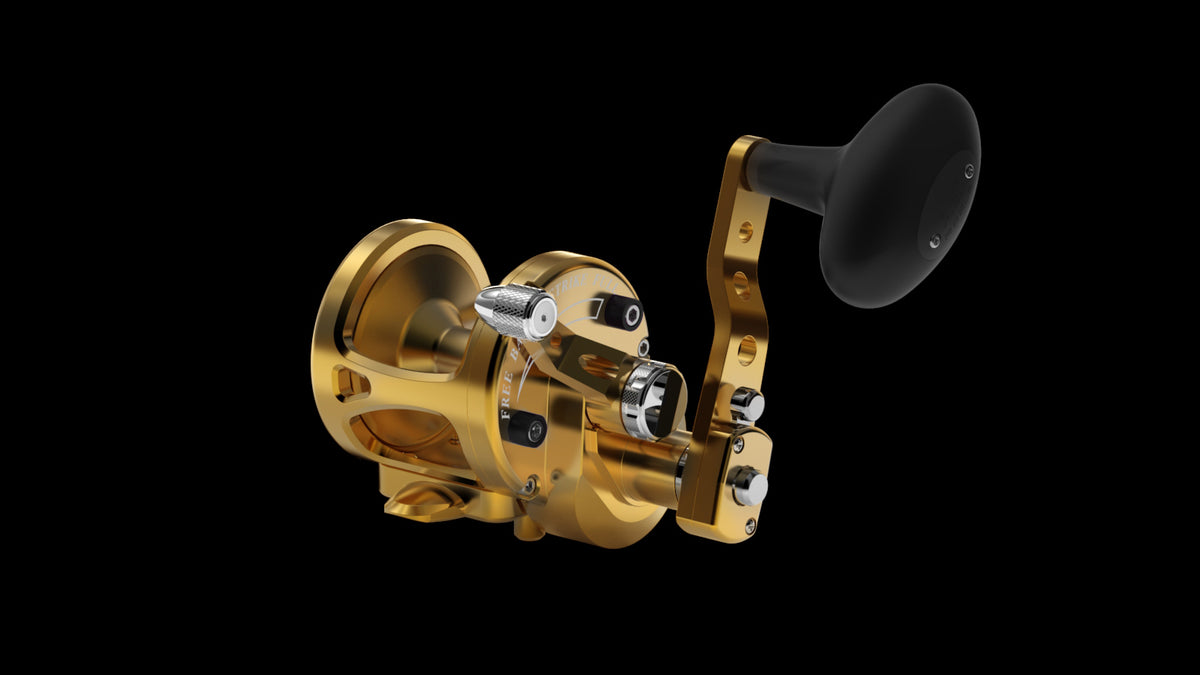Avet SX Series lever drag reel — Gold