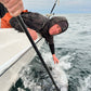 Gaffing a tuna boatside with a carbon fiber gaff