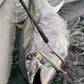 Carbon fiber gaff set in a bluefin tuna boatside