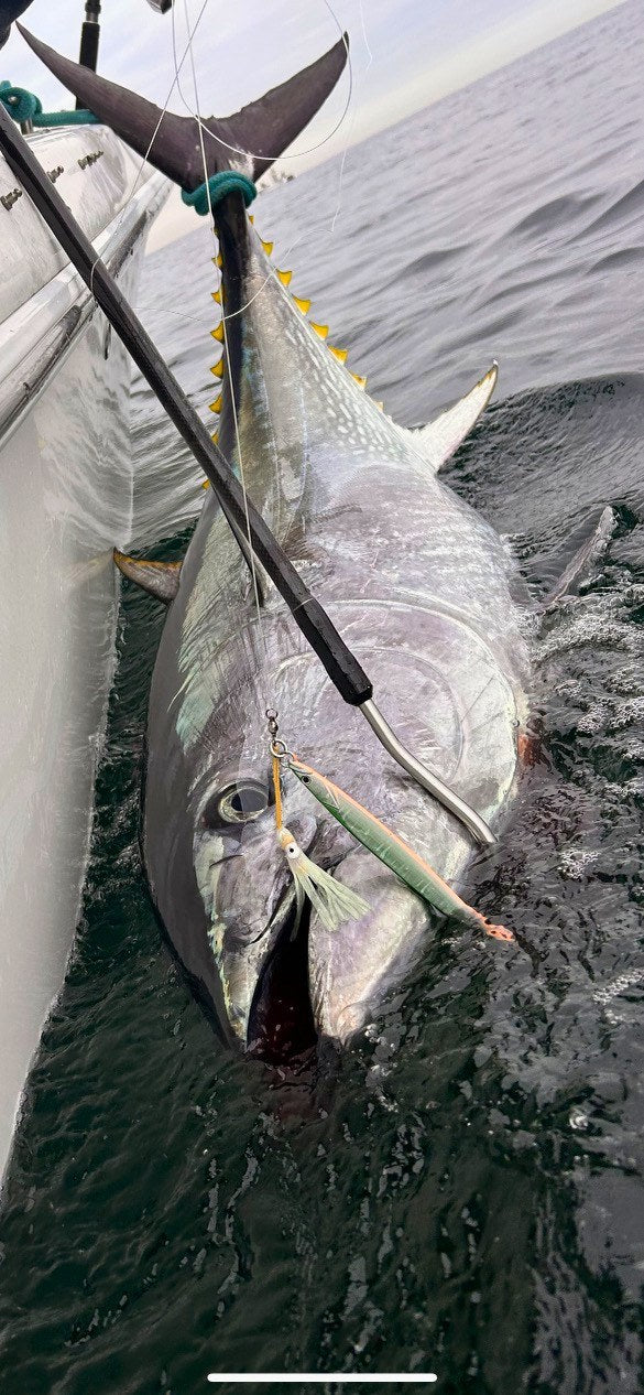 Carbon fiber gaff set in a bluefin tuna boatside