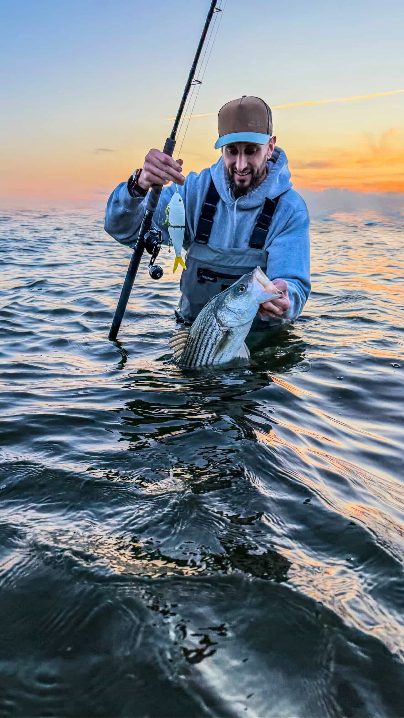 Releasing a striped bass at sunset with an Inshore Reaper rod
