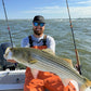 Angler in bibs holding a striped bass, Tiderunner rod in the holder