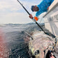 Bluefin tuna boatside on a Vert Giant jigging rod
